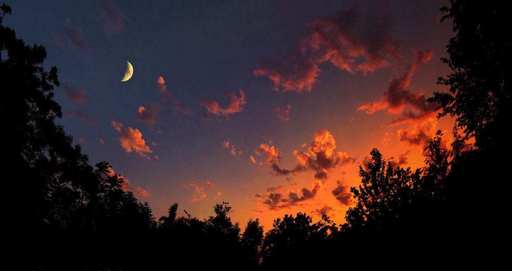 tn_Hannah Davis – Sunset and Moon