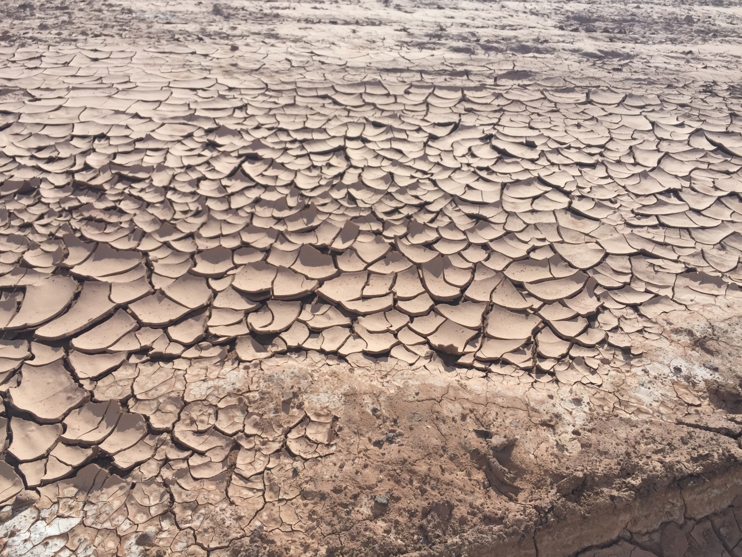tn_NH – Atacama Desert 2